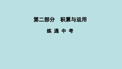 2021年河南省语文中专题复习课件 积累与运用(共79张PPT)