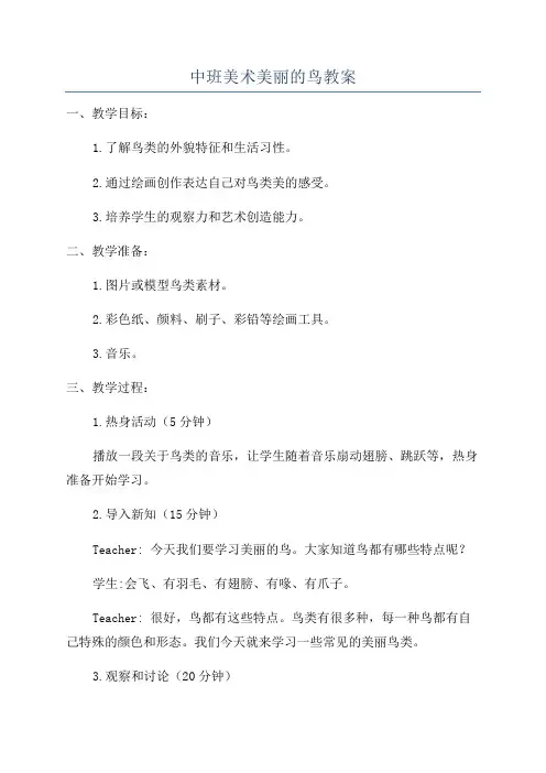 中班美术美丽的鸟教案