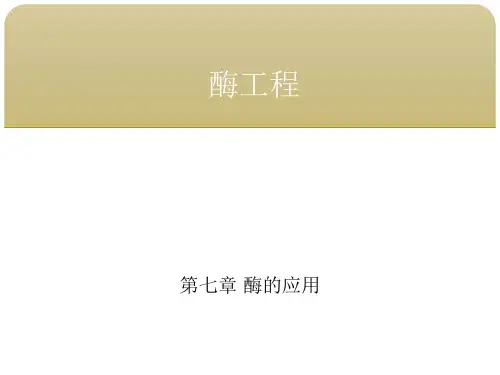 酶工程 第七章酶的应用 第二节酶在食品工业中的应用