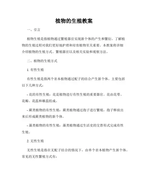 植物的生殖教案