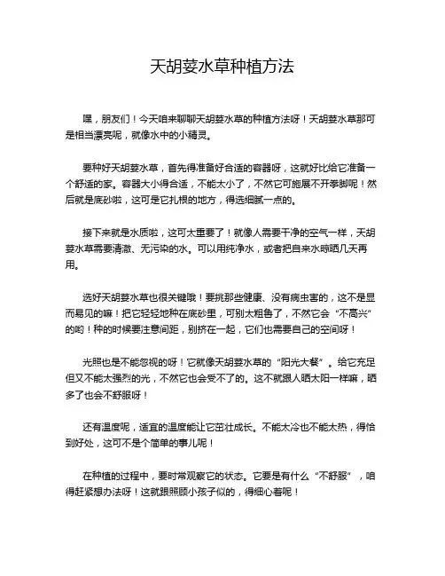 天胡荽水草种植方法