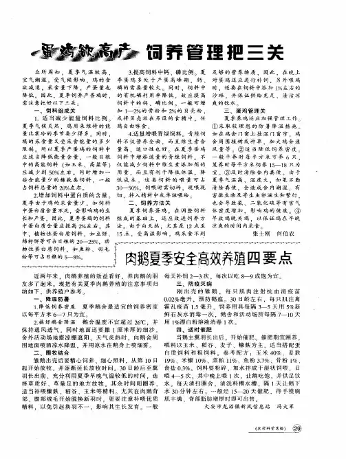 蛋鸡欲高产饲养管理把三关