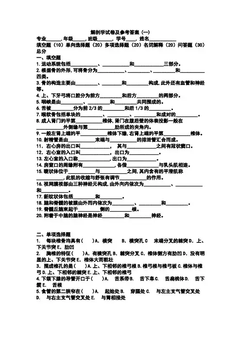 解剖学试卷及参考答案 (一)