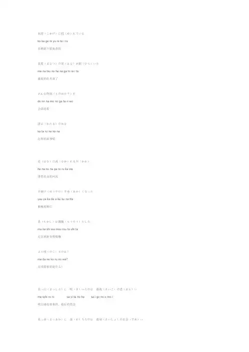 锦鲤抄日文翻唱歌词