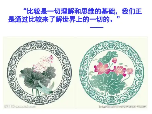 诗歌鉴赏之比较阅读  (共30张)PPT课件