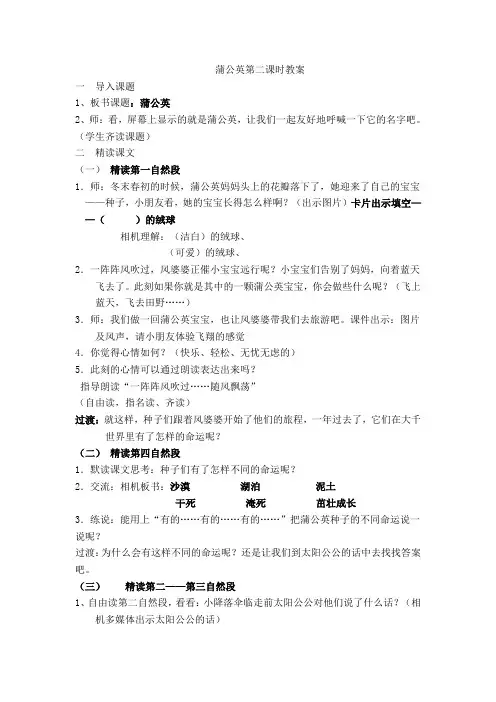 蒲公英第二课时