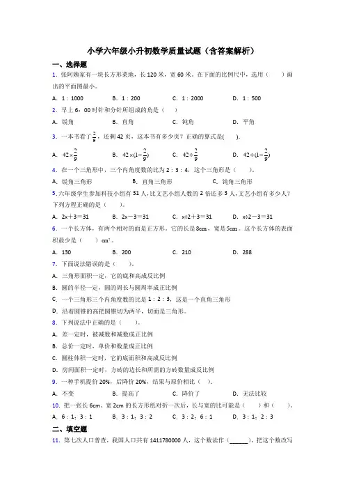 小学六年级小升初数学质量试题(含答案解析)