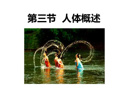苏教版七年级生物下册 《人体概述》PPT教学课件
