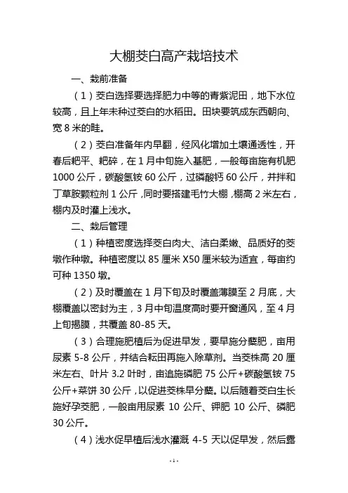 大棚茭白高产栽培技术