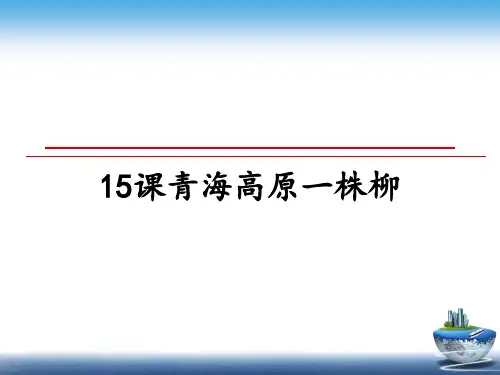 最新15课青海高原一株柳教学讲义ppt课件