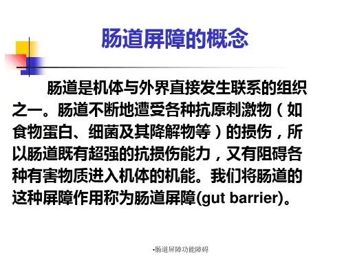 肠道屏障功能障碍