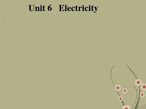 Unit 6 Electricity words 同步课件(牛津版七年级下)