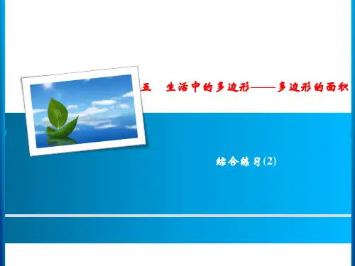 青岛版数学 五年级上册 5 综合练习(2)