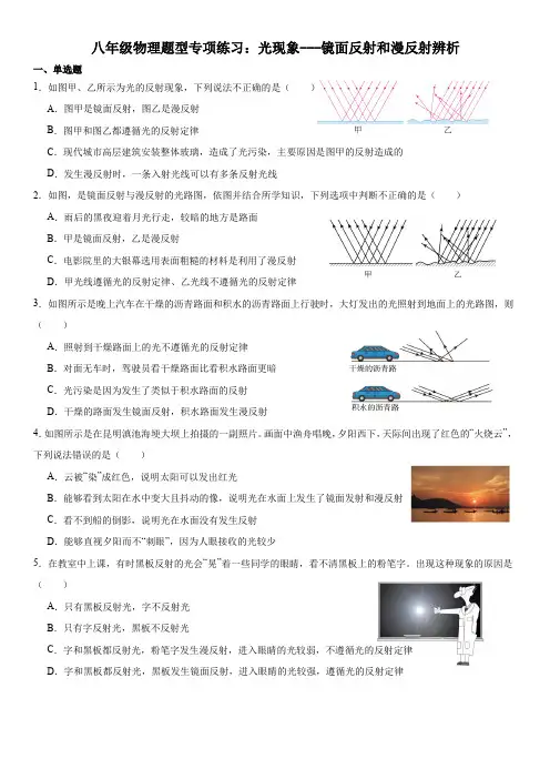  专项练习：光现象---镜面反射和漫反射辨析 ----2024-2025学年苏科版物理八年级上学期