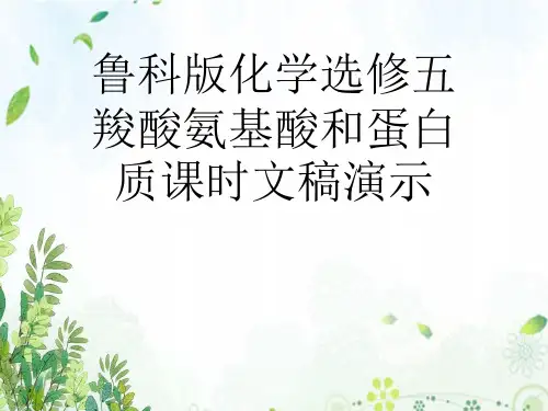 鲁科版化学选修五羧酸氨基酸和蛋白质课时文稿演示