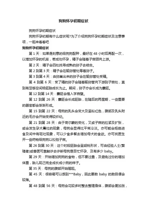 狗狗怀孕初期症状
