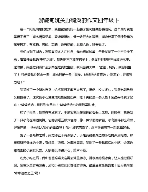 游施甸姚关野鸭湖的作文四年级下
