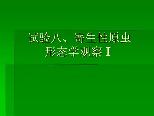 第八章  试验八  寄生性原虫形态学观察Ⅰ