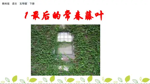 五年级下册语文1 最后的常春藤叶