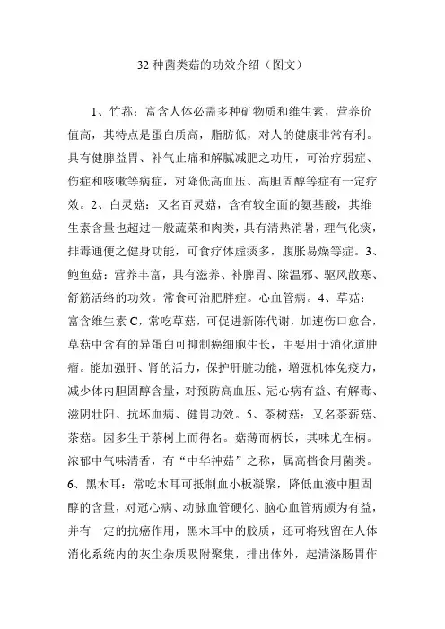 32种菌类菇的功效介绍(图文)