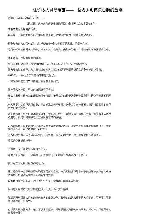 让许多人感动落泪——一位老人和两只白鹳的故事