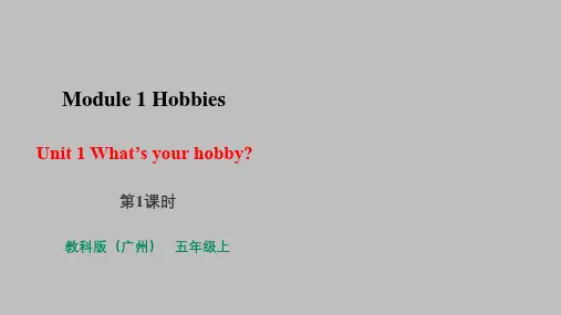 教科版(广州)英语五年级上册Unit 1 What's your hobby 第1课时 课件