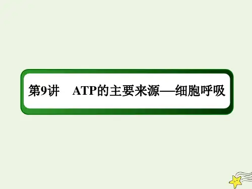 高考生物一轮复习第三单元细胞的能量供应和利用第9讲ATP的主要来源__细胞呼吸068课件新人教版