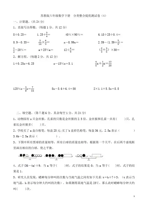 苏教版六年级数学下册 分类整合测试卷(4) 