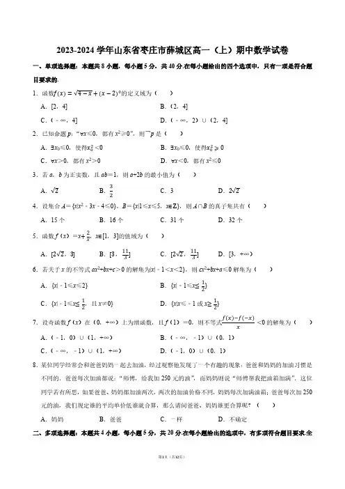 2023-2024学年山东省枣庄市薛城区高一(上)期中数学试卷【答案版】