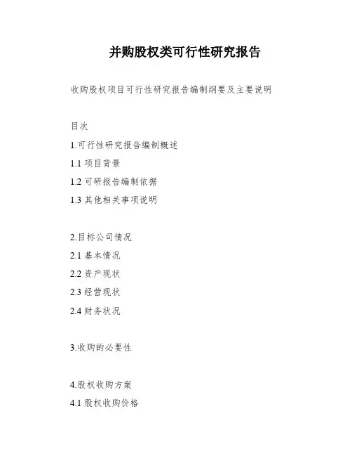并购股权类可行性研究报告