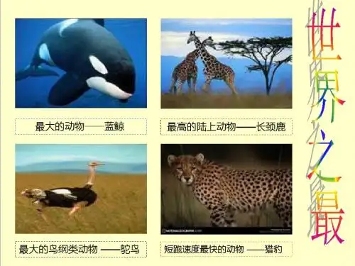 最新鄂教版科学小学五年级下册形形色色的动物公开课课件