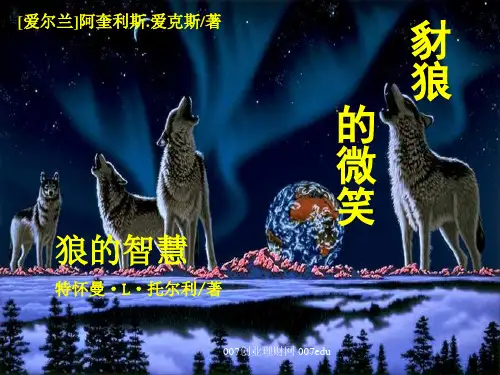 狼的智慧整理ppt-.ppt