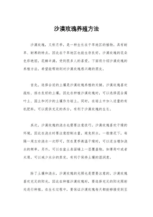 沙漠玫瑰养殖方法