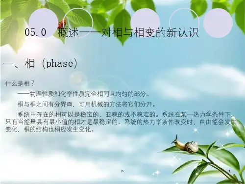 相变的基本类型