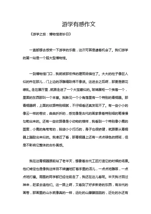 游学有感作文