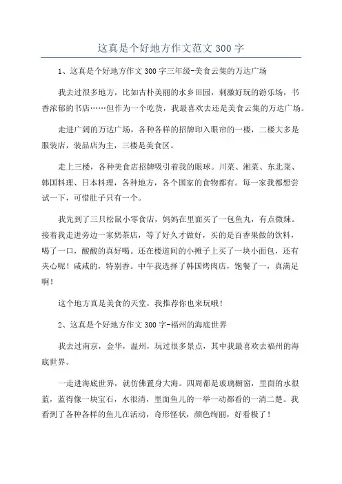 这真是个好地方作文范文300字