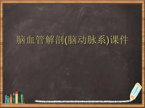 优选脑血管解剖(脑动脉系)演示ppt