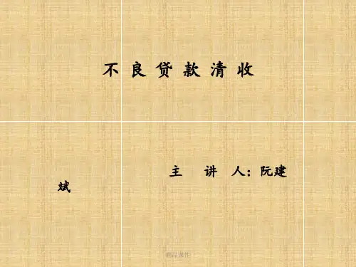 不良贷款清收讲义ppt课件