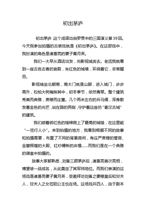 初出茅庐的作文550字