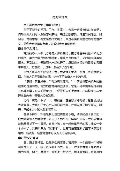 南方雪作文