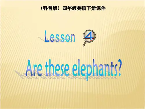 科普版英语四年级下册：lesson4  教学课件