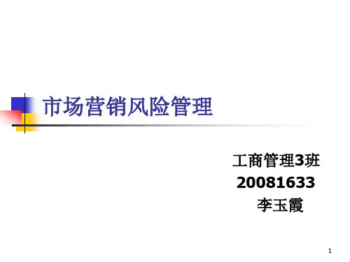 市场营销风险管理PPT课件