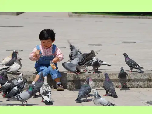 《拍手歌》完美课件