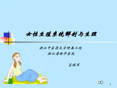 女性生殖系统解剖与生理PPT课件