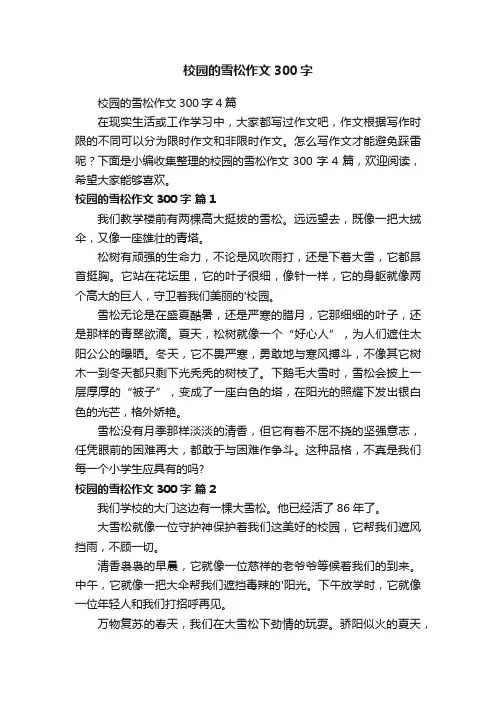 校园的雪松作文300字