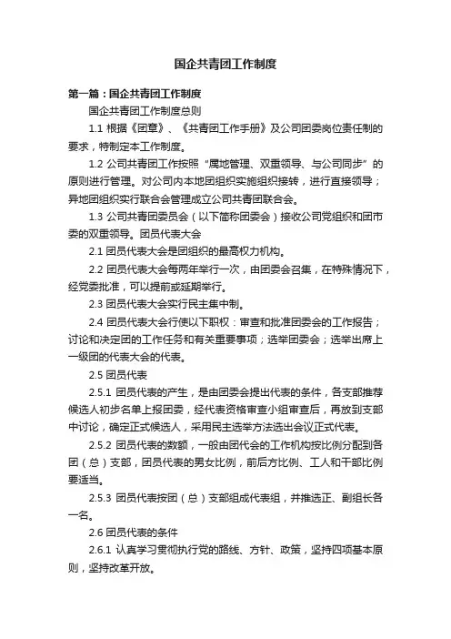 国企共青团工作制度