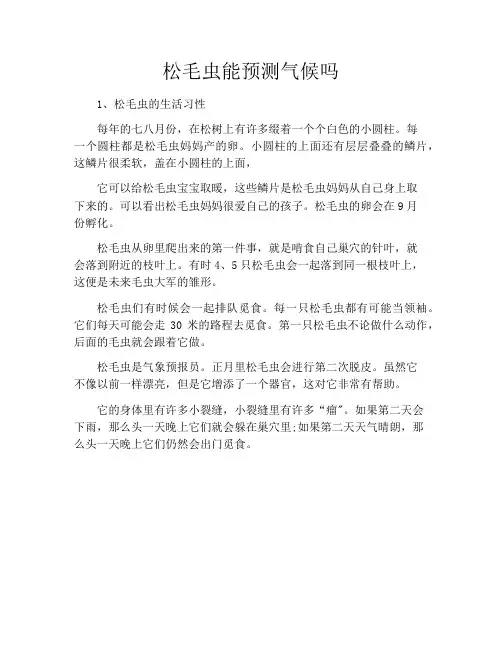 松毛虫能预测气候吗
