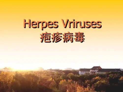 疱疹病毒HerpesVriru