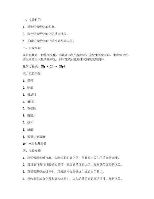 镁带燃烧实验报告