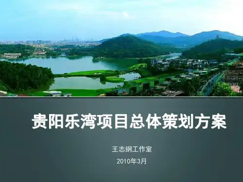 某温泉度假村项目总体策划方案(PPT 158页)